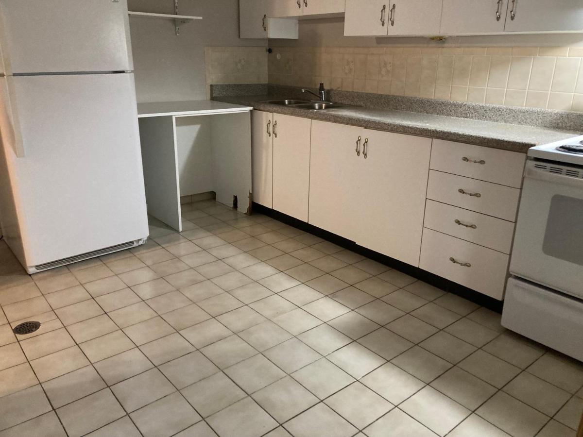 Cozy Apartment With A Spacious Backyard In The Ravine 多伦多 外观 照片